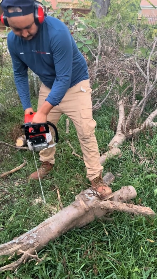 Amazon.com : LEAQU Gas Cordless Chainsaw 20 inch, 2-Cycle Gasoline